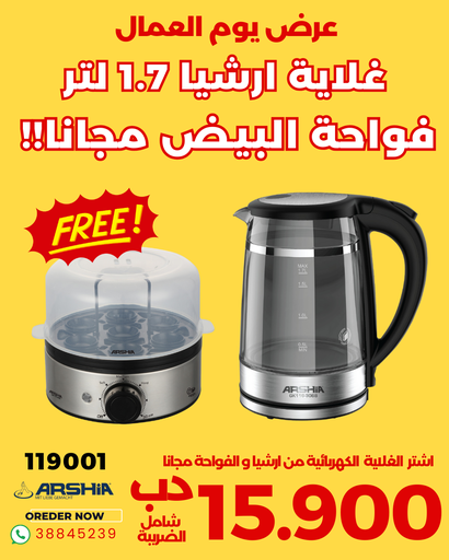 [4260672119001] ARSHIA EGG BOILER+KETTLE 1.7LTR TITANIUM GK116-3068 OFFER